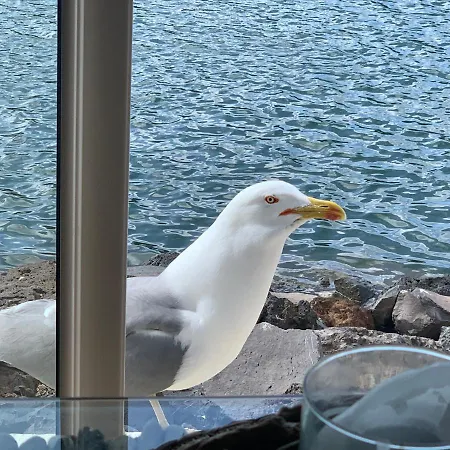 Vue - Rdc - Parking Prive - Meuble Tourisme 4 Etoiles Agde