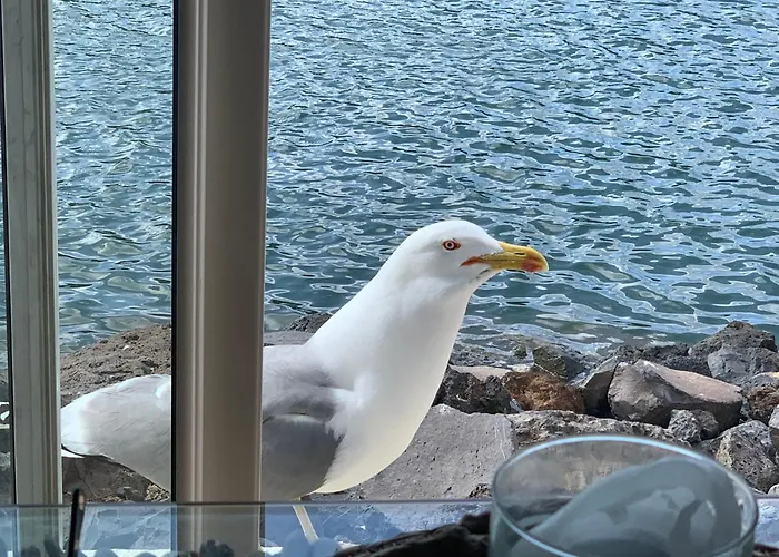 Vue - Rdc - Parking Prive - Meuble Tourisme 4 Etoiles Agde